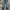 Celana Denim Levis Vintage 201xx Vintage