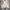 Capitan M65 Outter Jacket size XL photo 5