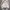 Capitan M65 Outter Jacket size XL photo 1