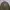 GU revesible bomber jacket army photo 2