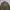 GU Revesible Bomber Jacket Army