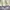 Partimento Sherpa Winter Outter Jacket size 2XL photo 8