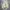 Partimento Sherpa Winter Outter Jacket size 2XL photo 2