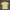 This Is A Yellow Polo Ralph Lauren Cotton Polo Shirt.