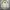 Casual Flight Jacket size XL photo 1