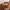 Crop Alessia made in Italy photo 6