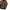 Climactic Duck Canvas Jacket photo 6