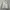 Polo Ralph Lauren Sport Sweat Jacket Tracktop
