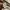 Vintage Vans 66 Skateboard Embroidery  photo 5