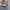 Canvas Jacket Beams Boy Army Boxy photo 3