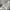 Polo Ralph Lauren Long Sleeve White photo 5
