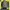 Longsleeve Shirt Army Military m65 parka 70s photo 2