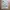 L.L.Bean Streetwear Sportswear Vest Pria Tan