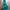 Penfield Gorpcore Sportswear Parka Pria green black photo 7