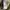 Denim & Supply Ralph Lauren Camo Long Sleeve Waffle Henley photo 8