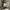Denim & Supply Ralph Lauren Camo Long Sleeve Waffle Henley photo 3