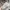 Denim & Supply Ralph Lauren Camo Long Sleeve Waffle Henley photo 4