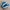 Puma Emo Casual Sneakers Wanita white blue photo 1