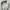 Fendi authentic, sepatu Italy ggdb Ferragamo common project  photo 4