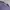 Vivastudio Purple Tee photo 6