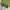 cargo pants dark green  photo 7
