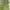cargo pants dark green  photo 6