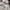 hoodie dickies 22 photo 2