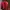 jaket kulit merah photo 1