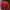 jaket kulit merah photo 2