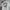 VON DUTCH WORKSHIRT WHITE photo 2