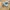 new balance 1906R photo 3