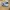 new balance 1906R photo 1