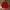Supreme x Lacoste Soul Markos Crewneck photo 1