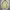 Zass Casual Canvas Jacket size L photo 3