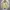 Zass Casual Canvas Jacket size L photo 1