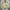 Zass Casual Canvas Jacket size L photo 2