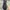 Skechers Equalizer 5.0 Original Black photo 2