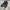 Skechers Equalizer 5.0 Original Black photo 4