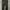 AMERICAN EAGLE FATIGUE PANTS photo 3