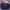 Windbreaker Reebok Big Logo  photo 1