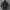 Windbreaker Adidas photo 8
