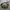 Waistbag | DIADORA ARMY | Original photo 2