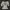 Grunge Y2k Fitted T-shirt