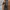 Black Yak Windbreaker Mountaineering Jacket  photo 4