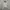 WHO A.U SZ S (full tag + no minus) photo 4