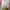 WHO A.U SZ S (full Tag + No Minus)