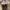 Vans Eco Theory Authentic SF Checkerboard photo 3