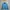 The north face hyvent jacket blue light outdoor photo 1