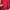 New balance outdoor jacket red original  photo 3