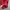New balance outdoor jacket red original  photo 5